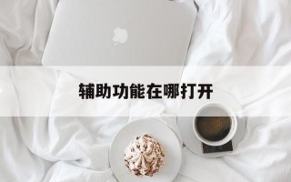 辅助功能在哪打开
