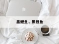 黑鲤鱼，黑鲤鱼