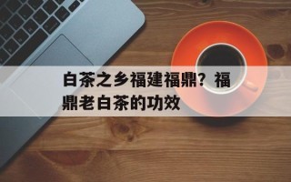 白茶之乡福建福鼎？福鼎老白茶的功效