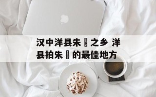 汉中洋县朱鹮之乡 洋县拍朱鹮的最佳地方