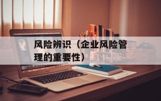 风险辨识（企业风险管理的重要性）