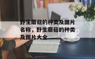 野生蘑菇的种类及图片名称，野生蘑菇的种类及图片大全