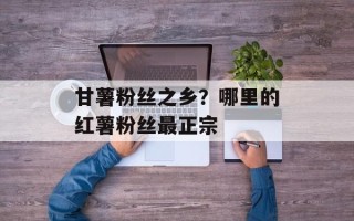 甘薯粉丝之乡？哪里的红薯粉丝最正宗