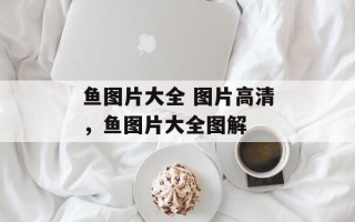 鱼图片大全 图片高清，鱼图片大全图解