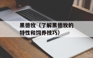 黑德牧（了解黑德牧的特性和饲养技巧）