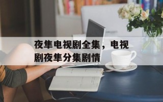 夜隼电视剧全集，电视剧夜隼分集剧情