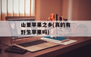 山里苹果之乡(真的有野生苹果吗)