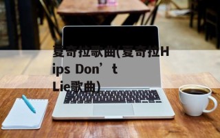 夏奇拉歌曲(夏奇拉Hips Don’t Lie歌曲)