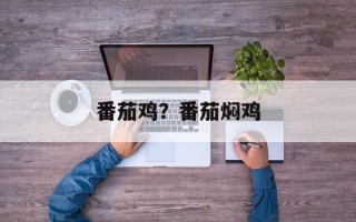 番茄鸡？番茄焖鸡