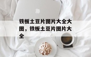 铁板土豆片图片大全大图，铁板土豆片图片大全