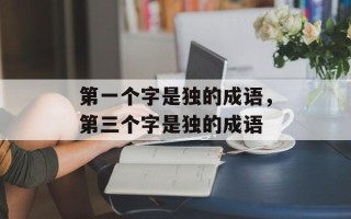 第一个字是独的成语，第三个字是独的成语