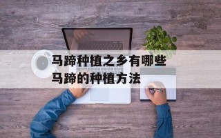 马蹄种植之乡有哪些 马蹄的种植方法