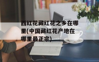 西红花藏红花之乡在哪里(中国藏红花产地在哪里最正宗)