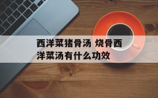西洋菜猪骨汤 烧骨西洋菜汤有什么功效