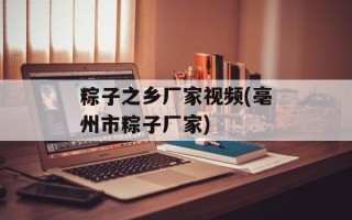 粽子之乡厂家视频(亳州市粽子厂家)