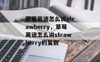 草莓英语怎么说strawberry，草莓英语怎么说strawberry的复数