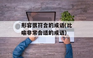 形容很符合的成语(比喻非常合适的成语)