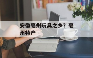 安徽亳州玩具之乡？亳州特产