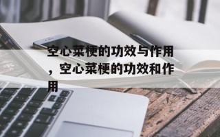 空心菜梗的功效与作用，空心菜梗的功效和作用