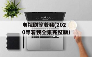 电视剧等着我(2020等着我全集完整版)