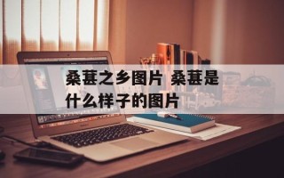 桑葚之乡图片 桑葚是什么样子的图片