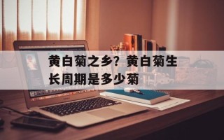 黄白菊之乡？黄白菊生长周期是多少菊
