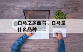 白马之乡西乌，白马是什么品种