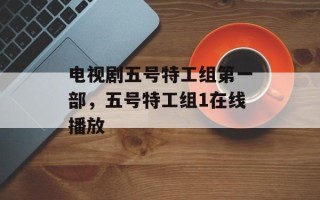 电视剧五号特工组第一部，五号特工组1在线播放