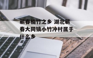 蕲春楠竹之乡 湖北蕲春大同镇小竹冲村属于什么乡