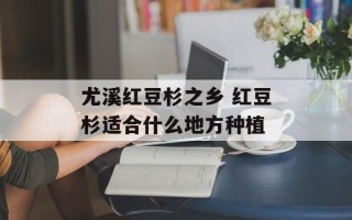 尤溪红豆杉之乡 红豆杉适合什么地方种植