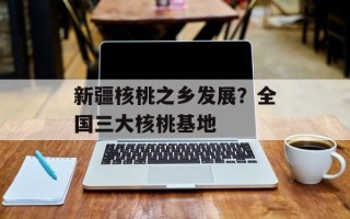 新疆核桃之乡发展？全国三大核桃基地