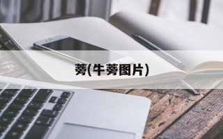 蒡(牛蒡图片)