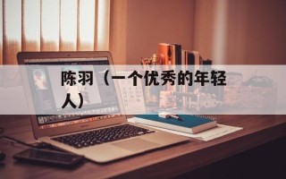 陈羽（一个优秀的年轻人）