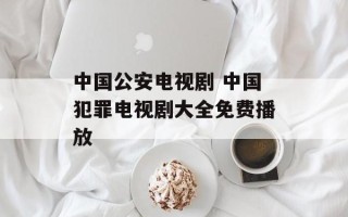 中国公安电视剧 中国犯罪电视剧大全免费播放