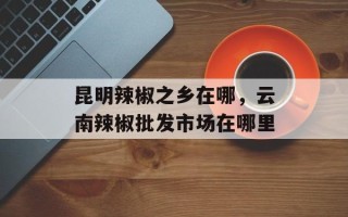 昆明辣椒之乡在哪，云南辣椒批发市场在哪里