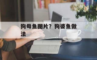 狗母鱼图片？狗婆鱼做法