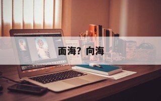 面海？向海
