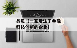 鑫贝（一家专注于金融科技创新的企业）