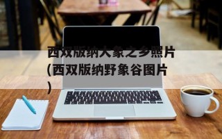 西双版纳大象之乡照片(西双版纳野象谷图片)