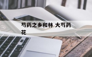 芍药之乡和林 大芍药花