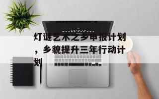 灯谜艺术之乡申报计划，乡貌提升三年行动计划