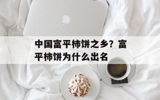 中国富平柿饼之乡？富平柿饼为什么出名