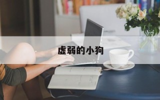 虚弱的小狗