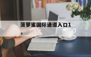 菠萝蜜国际通道入口1，