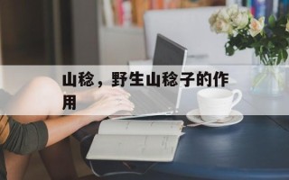 山稔，野生山稔子的作用