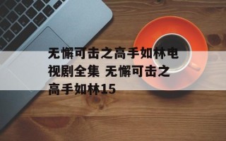 无懈可击之高手如林电视剧全集 无懈可击之高手如林15