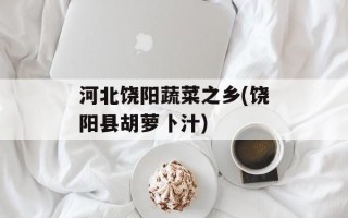 河北饶阳蔬菜之乡(饶阳县胡萝卜汁)