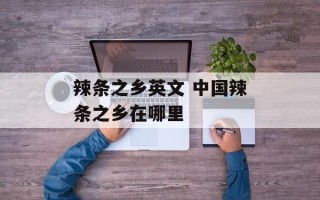 辣条之乡英文 中国辣条之乡在哪里