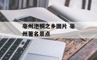 亳州泡桐之乡图片 亳州著名景点