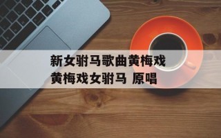 新女驸马歌曲黄梅戏 黄梅戏女驸马 原唱